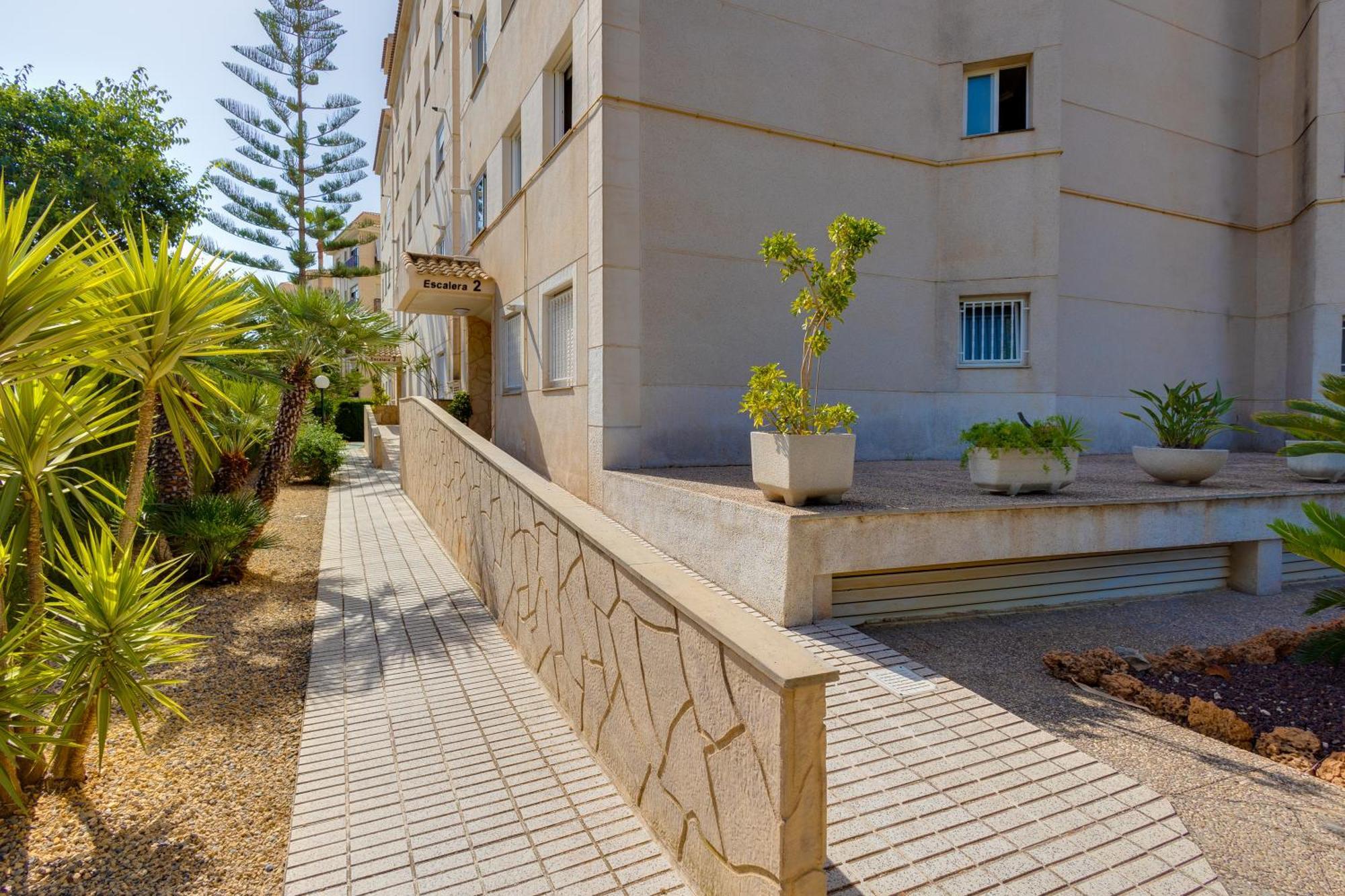 Apartamentos Oasis El Albir ภายนอก รูปภาพ