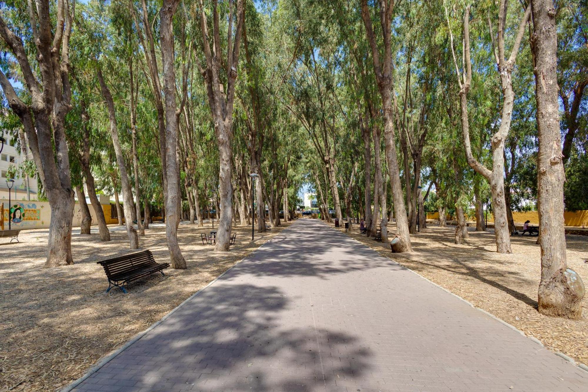 Apartamentos Oasis El Albir ภายนอก รูปภาพ